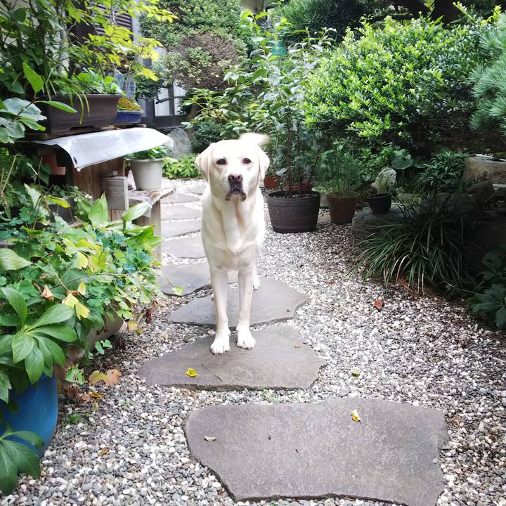 5fd21412 e6a3 4149 b302 8fed43dfaf7d 1537165667574