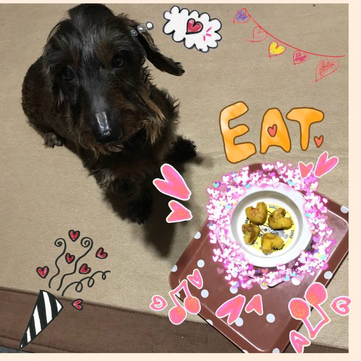 5fd21937 a0df 40d6 9efe ad8cf0206041 1518612517701