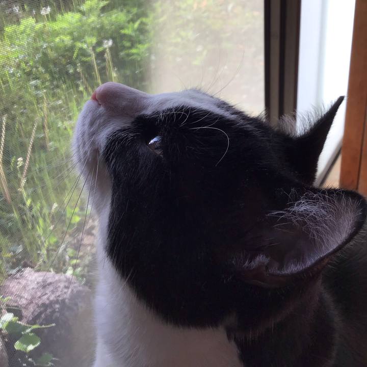 5fd26863 f108 4596 806c 1152b4b1b638 1650665998897