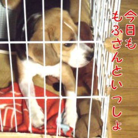 5fd270a7 2ff1 42c6 a876 a5218c731486 1696032202232