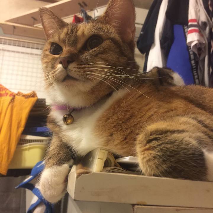 5fd28ba3 b8ad 4f11 b432 1ace2fae3fd5 1570862905814