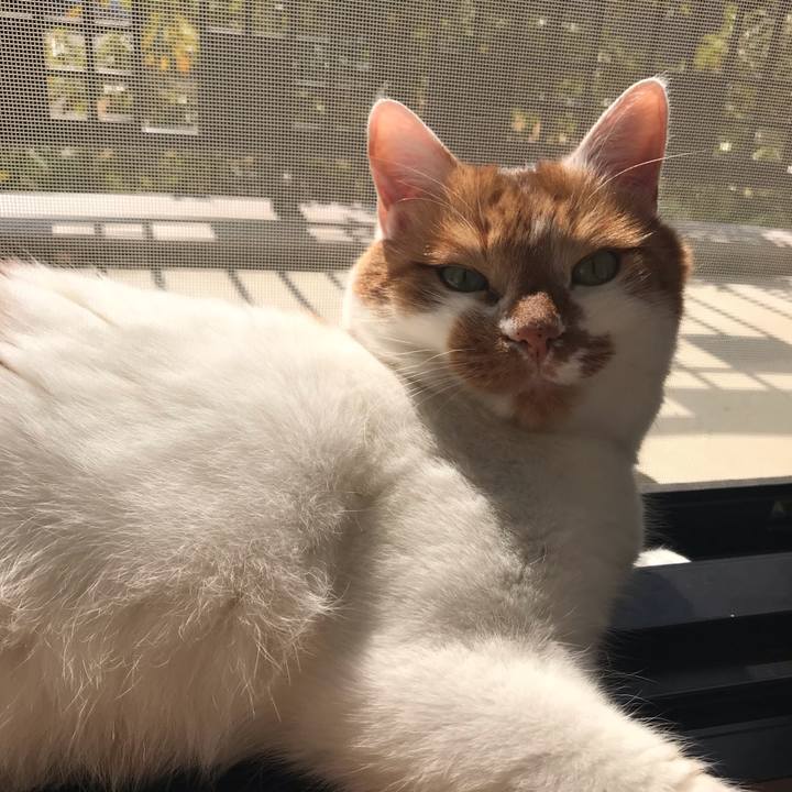 5fd2ac54 a475 4138 9e61 5b2f8f4aae89 1553142540658