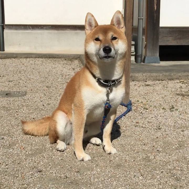 5fd2f4ae dc11 4da5 9c3f 7f8ac7d5b47e 1541418835189