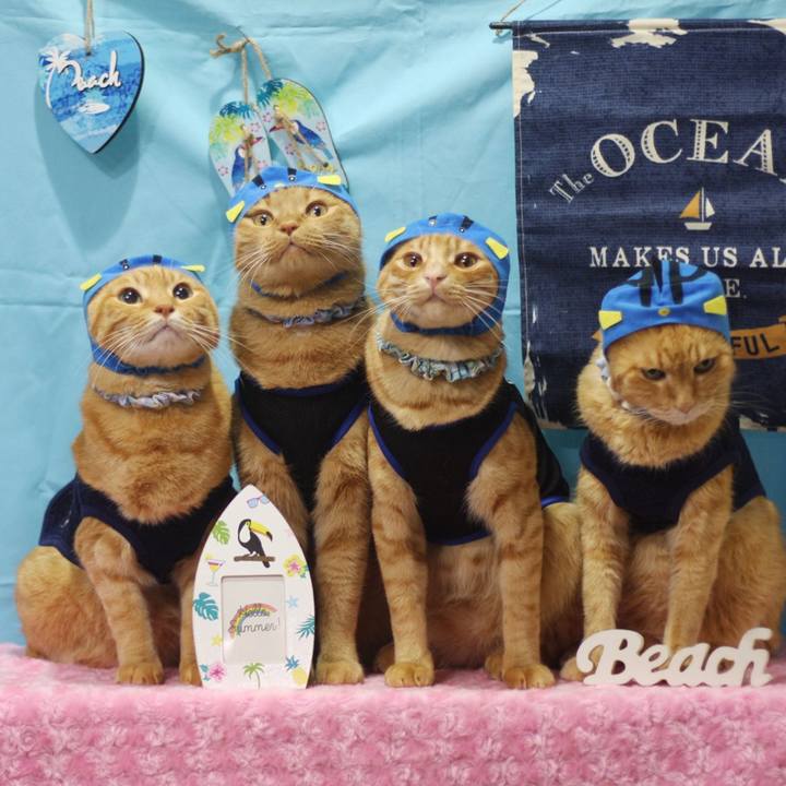 5fd2f67c e80a 4e47 8c0a c6827f4a2e4a 1691550132321