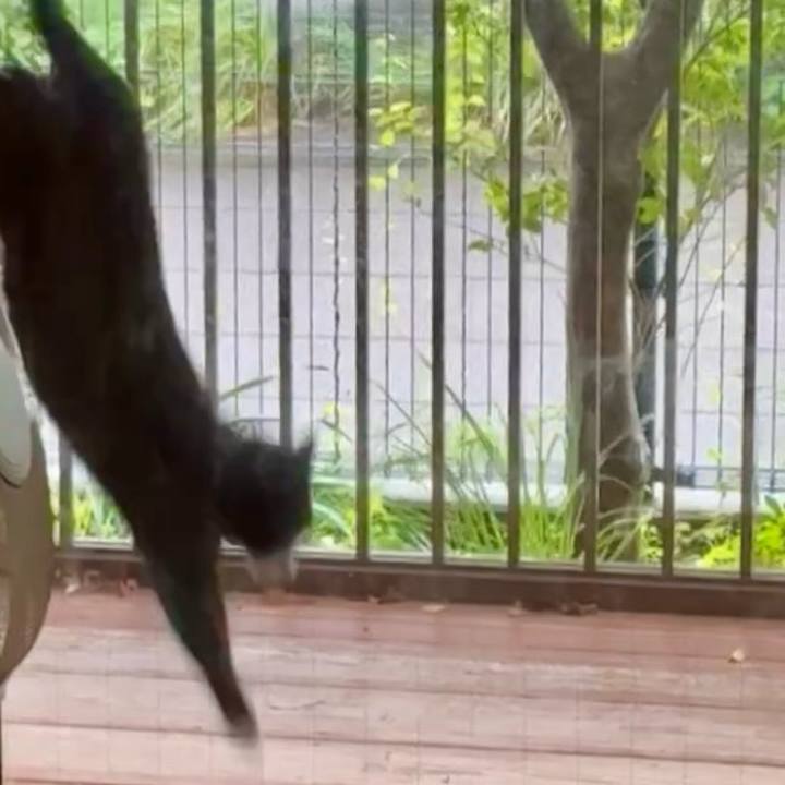 5fd30fb0 4070 4bc9 ac21 852b21381465 1748079084040