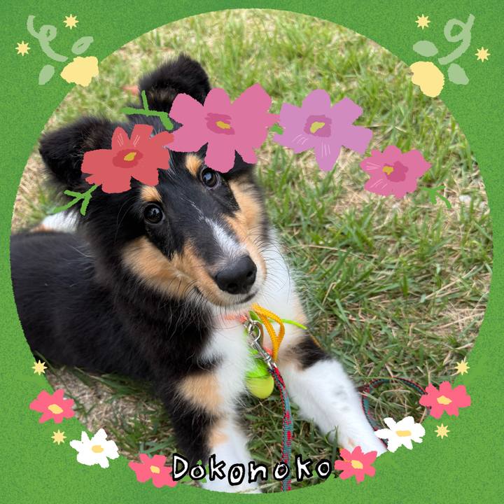 5fd3169c 8299 466d ab84 e3c01de89747 1727020134140