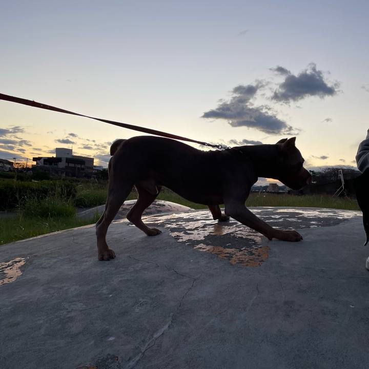 5fd32044 e788 4716 b04c ec6c9bef0b04 1666696623184