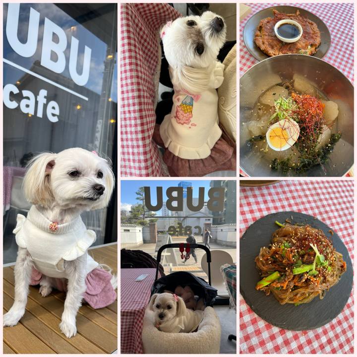 5fd33f99 ea6a 4e43 a342 6961fd563bdb 1674025214871