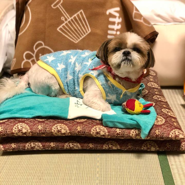 5fd34039 ec2f 44eb 9747 591c5ec8bfd1 1572861054756