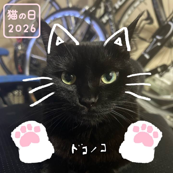 5fd36ee6 2dff 4287 8d3c b5e217c21f73 1771757235816