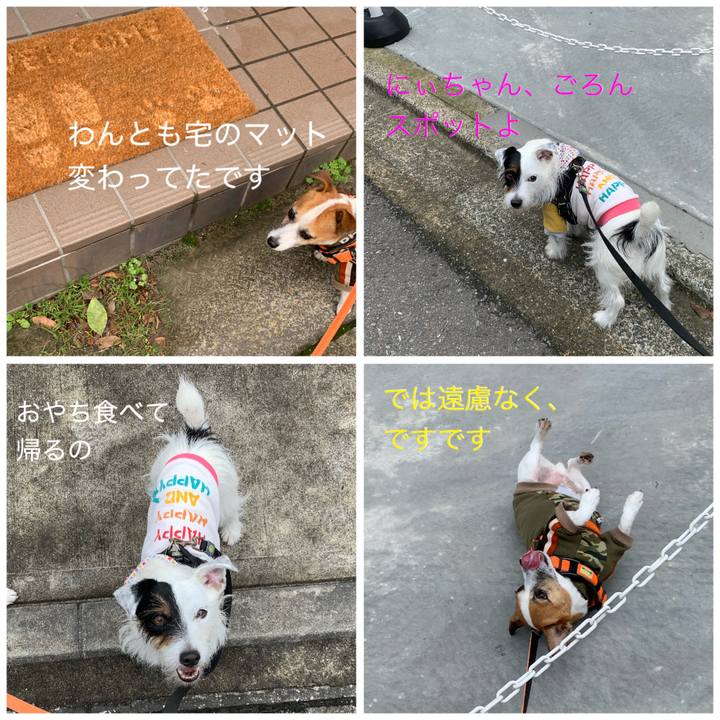 5fd380b8 1ae2 4b03 ae0d 8f8f4a7a28f7 1602376430687