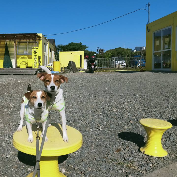 5fd3892b 130c 4cd7 be0c 58f6d597a8fa 1762501190600