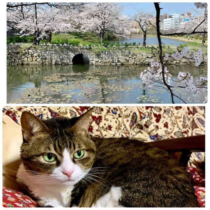 5fd3898c bbff 4c32 9ec3 aebe3e4df27b 1616483346666