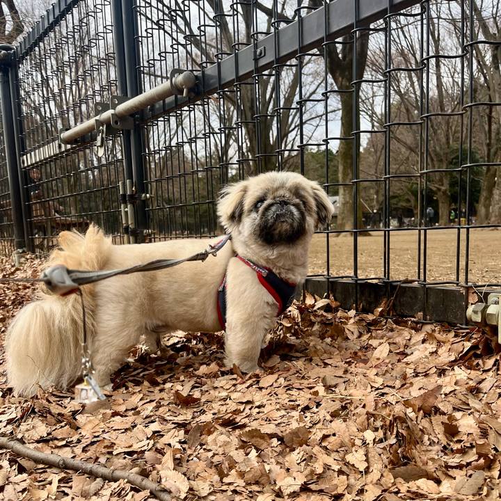 5fd3a4ef 3862 4724 a6b9 e9e6bad70ce6 1737777223862