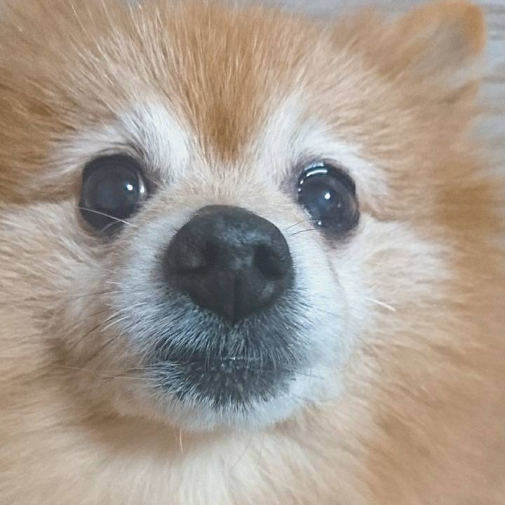 5fd3fed6 3258 4642 bf96 fc9b3386840c 1523446419732