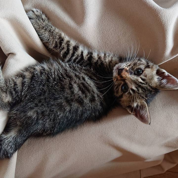 5fd40361 f714 4f8c a380 895919d65144 1558167230524