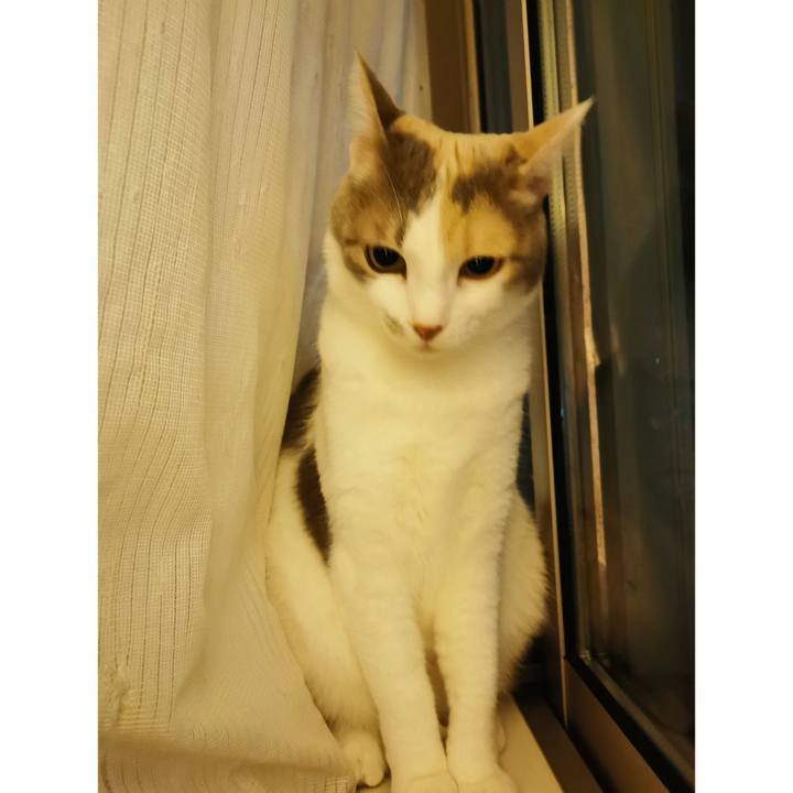 5fd411d9 f37b 4385 b6fc 79c2bbda9dd6 1654394646159