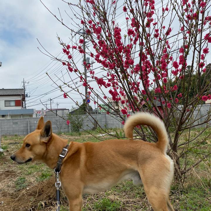 5fd4244b 3788 47ba a36f 79c00236051f 1648604401441