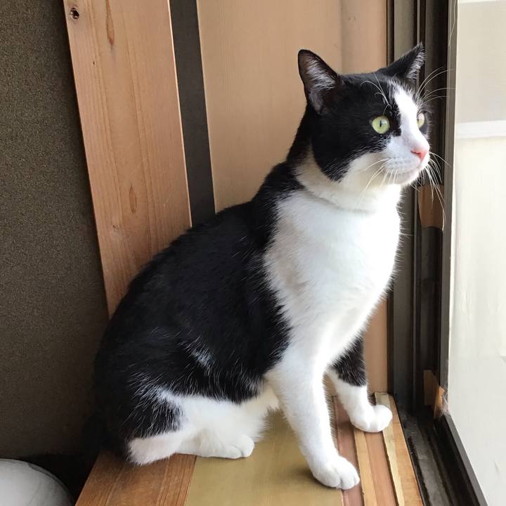 5fd42f94 7814 41e1 bfd1 018a47cf66d3 1725523122080