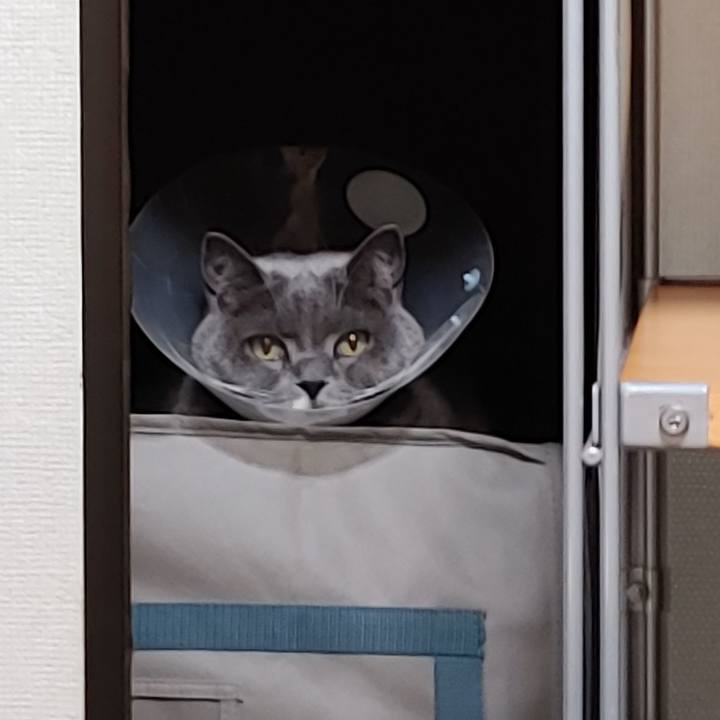 5fd4476b d5a7 41c6 b286 a0c1b955c852 1733318418729