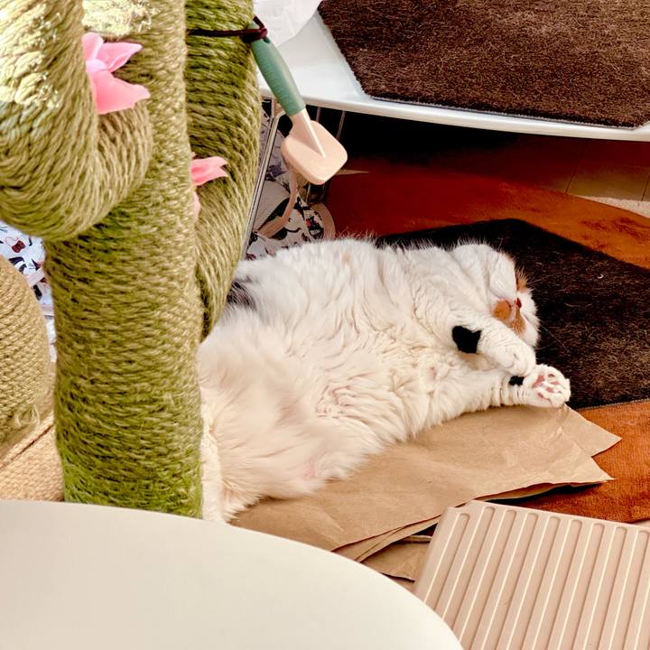 5fd44b2e bec5 4ee3 9dc5 1e72549e5455 1704951950677