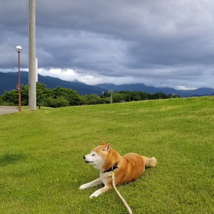 5fd46058 cd91 486a 9233 553757edbe80 1653638379242