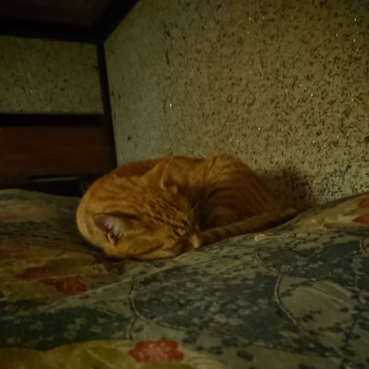 5fd466e6 b99f 4c4f a058 3e7975eb39a3 1601639539838