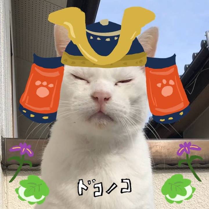 5fd49550 3cf9 46d0 968e 8e2a3c8840f7 1715091814283