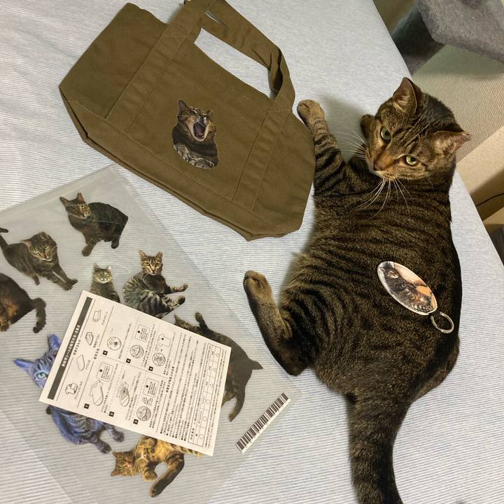 5fd515cf 6d4a 4b07 b9c3 d2790f6f0e4e 1688465704591