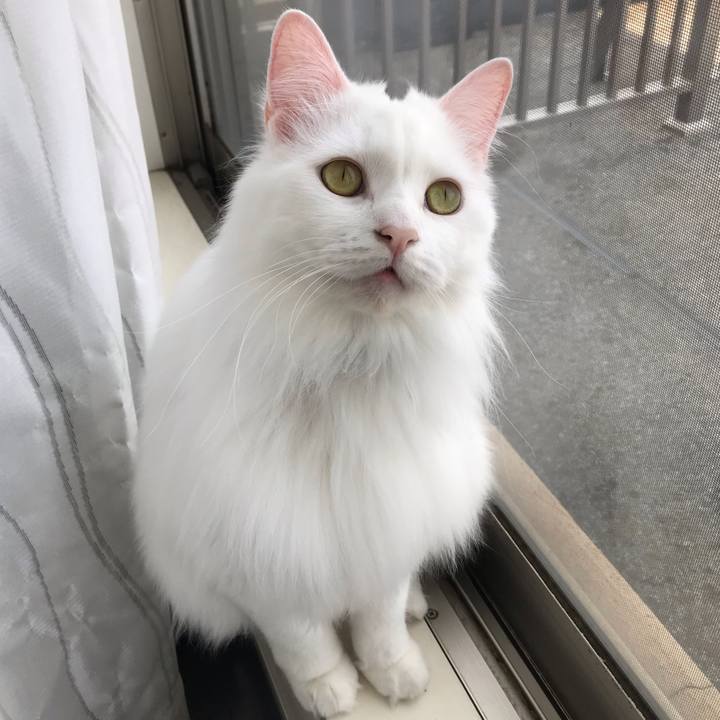 5fd51837 b2c7 4b92 b3fb c09ac4529107 1555329657893