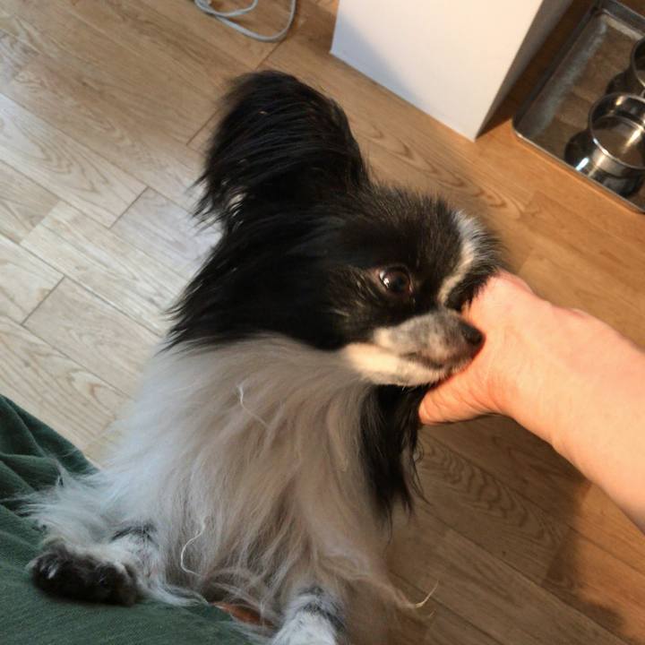 5fd54ef6 fac3 4a68 bf53 e143f6c0b7a2 1529290869797