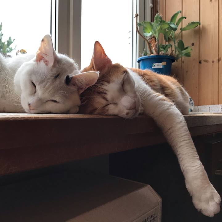 5fd56d69 9d8b 47f1 a84b a0b599c89587 1573685095714