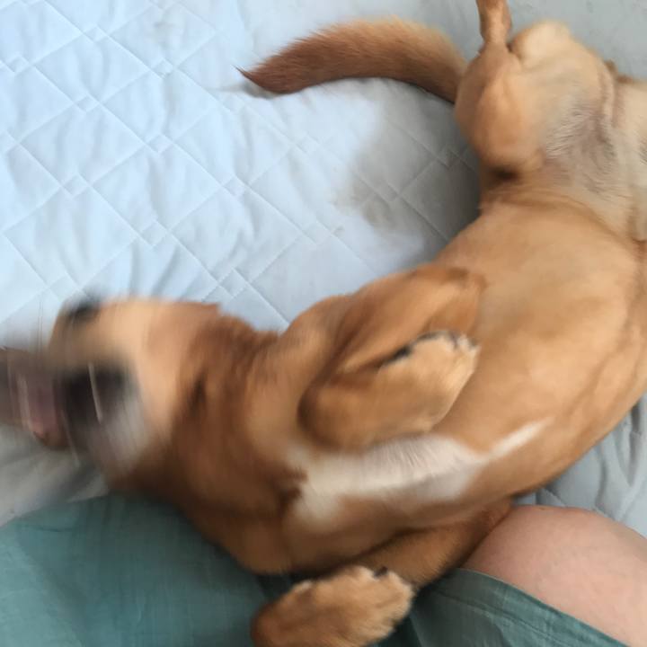 5fd599c5 c82c 4c15 9529 daedaa4ba5fe 1535633560681