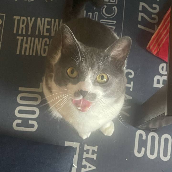 5fd5b75d 791b 494e 8988 e5939af3f7f8 1715840994538