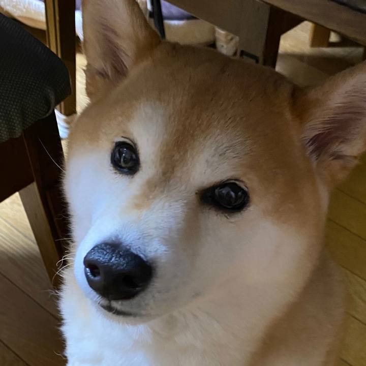 5fd5de2f 8b83 4b36 9b94 9bd16cab43a7 1616075417669