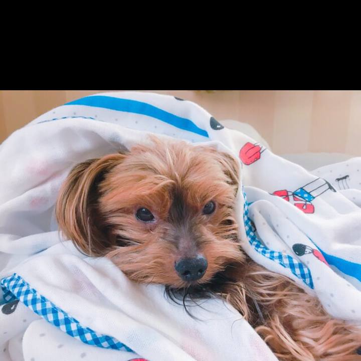 5fd5f5a4 ac66 407f 8f3d 002ab03a0c32 1531127029965