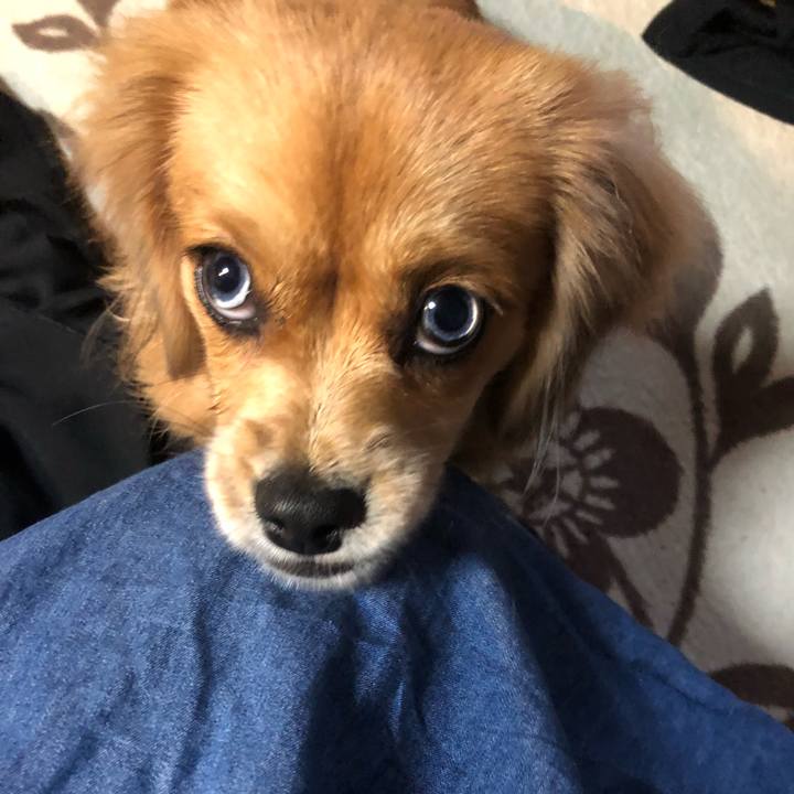 5fd60d04 fa41 4017 9d84 113ebefe5546 1510356938465