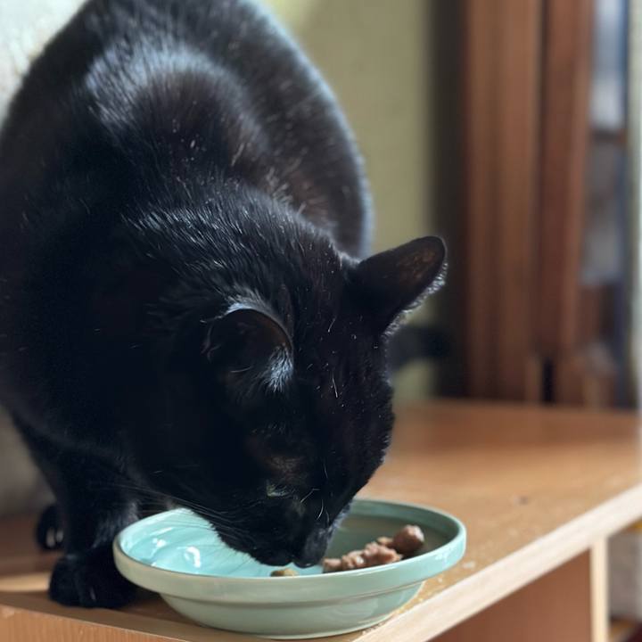 5fd676e2 e4b7 42d7 a9d1 028d72a400e2 1671847952474