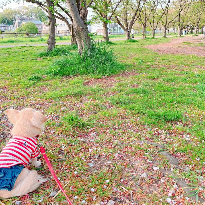 5fd6d37f 9bda 4427 bf60 c9944a9a9396 1649853428866