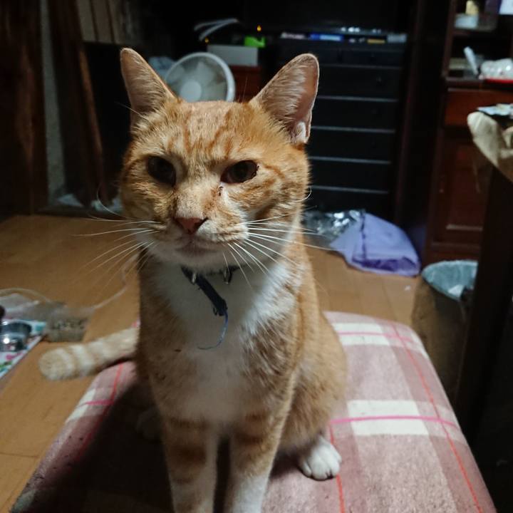 5fd6ddce 1bc4 4260 b75b 7f6693c156af 1600978127408