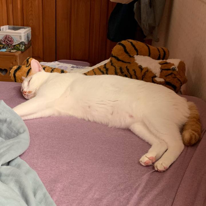 5fd6f0f2 96e4 4a30 a237 4ec0cd13c383 1628810696892