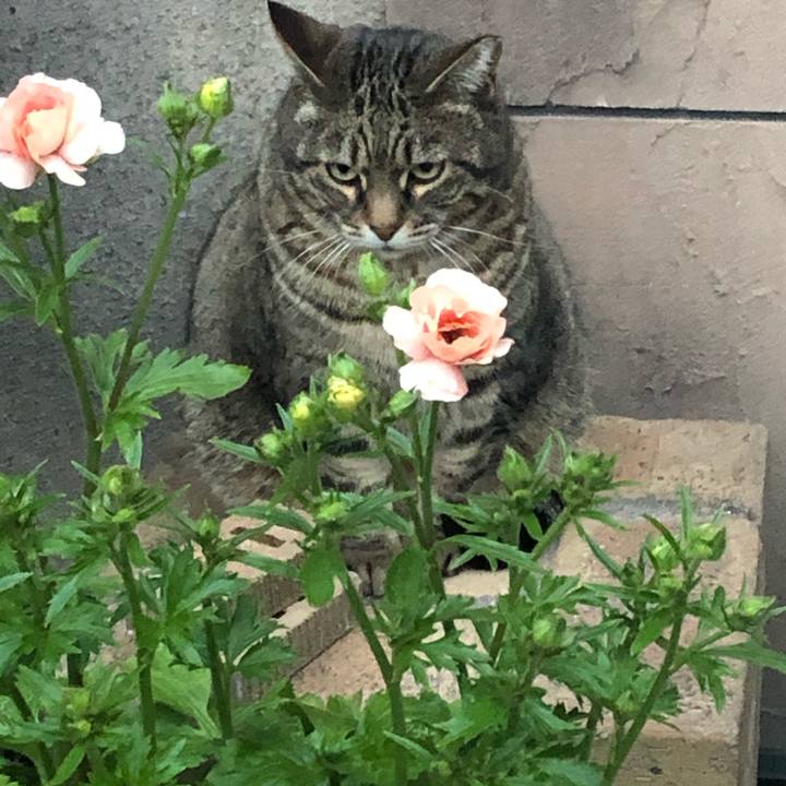 5fd6ff7c 977b 428e 9b25 8b6da273188e 1584101560092