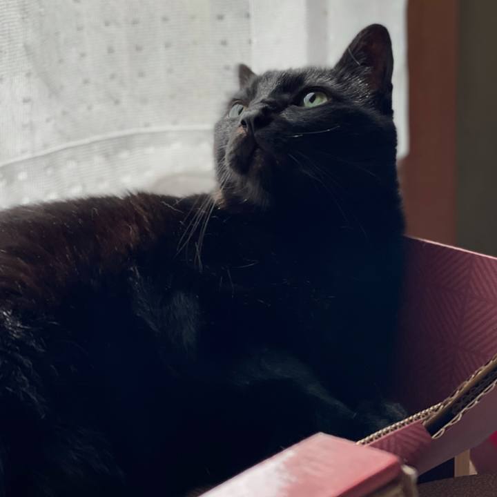 5fd70b1d b6db 4eea 8ab5 862dc0c6bc9a 1620525873624