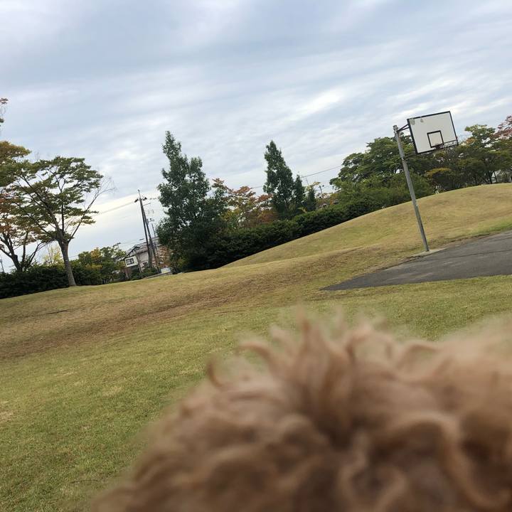 5fd71eb4 e5e1 47aa a8ae de36a02c9601 1665573277571