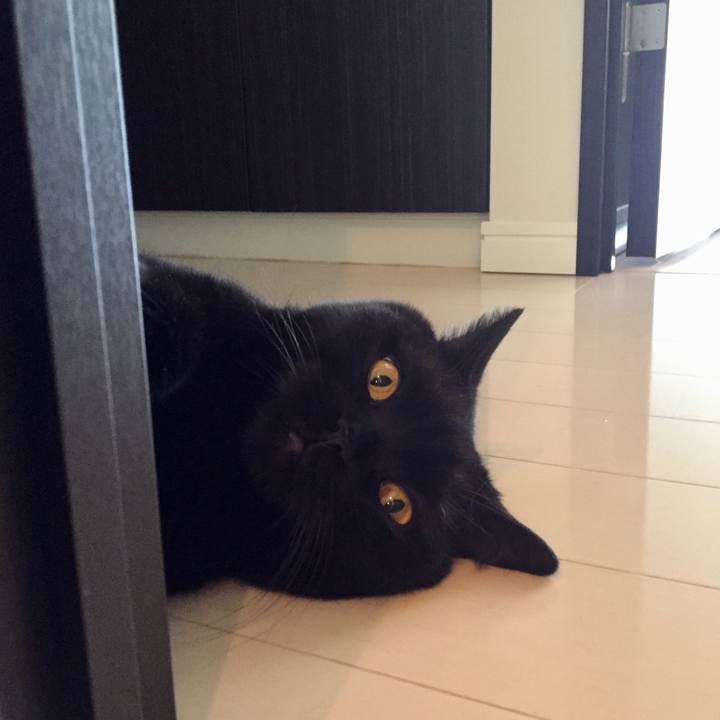 5fd728d9 bb56 4504 a51c 42842b962e56 1596250087987