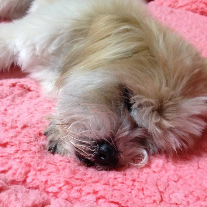 5fd73ff5 cca7 4f72 8804 bdfc80de4fb6 1575718349416