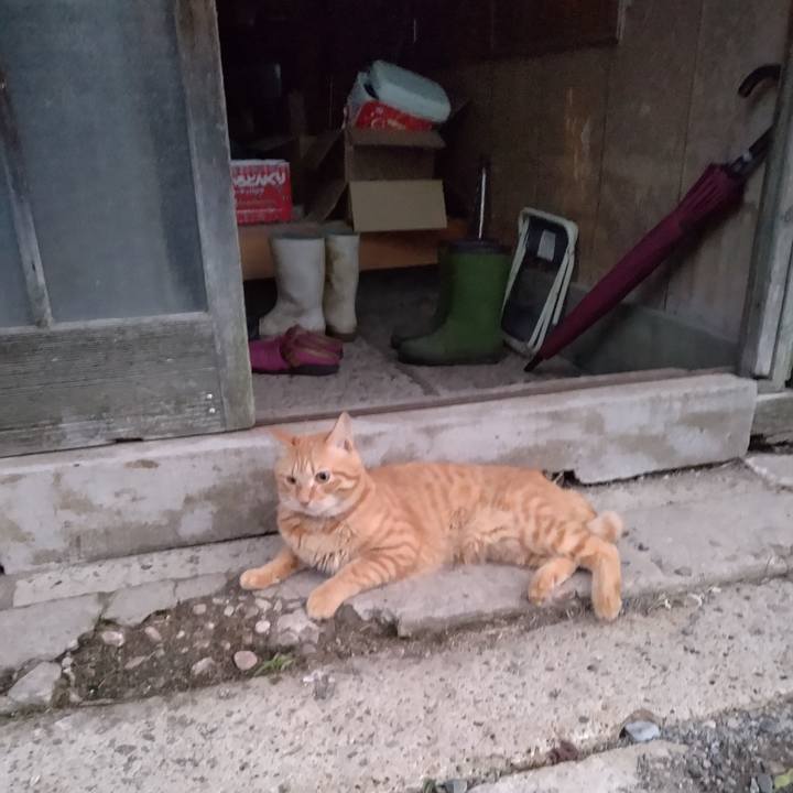 5fd7651c bfb5 48dc 970a f920429f5010 1664226963265