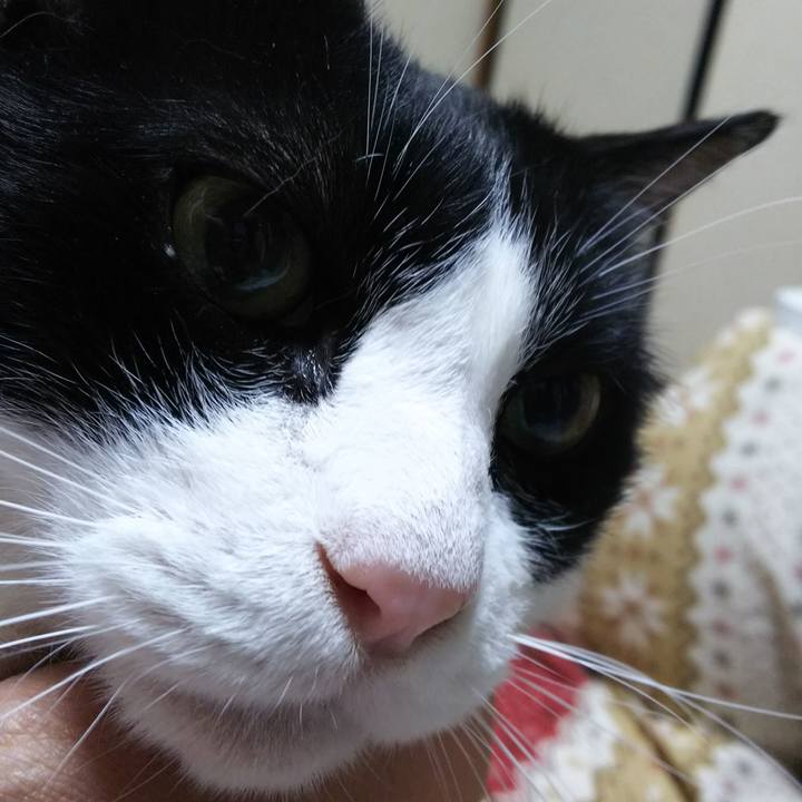 5fd7d3be d12e 4bbf 8304 5882414359eb 1558354901260