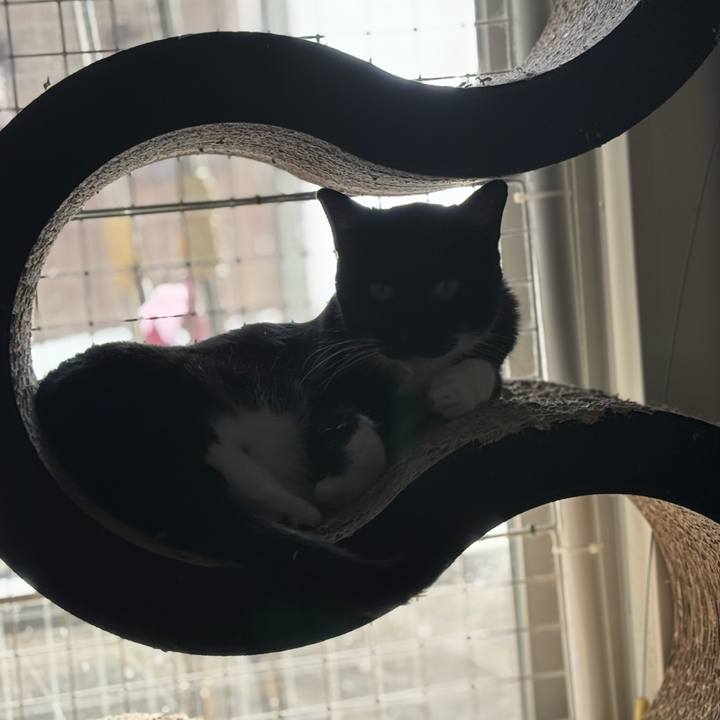 5fd7e66d 390e 44b5 9a2c 5ac74cb740f1 1763868435214