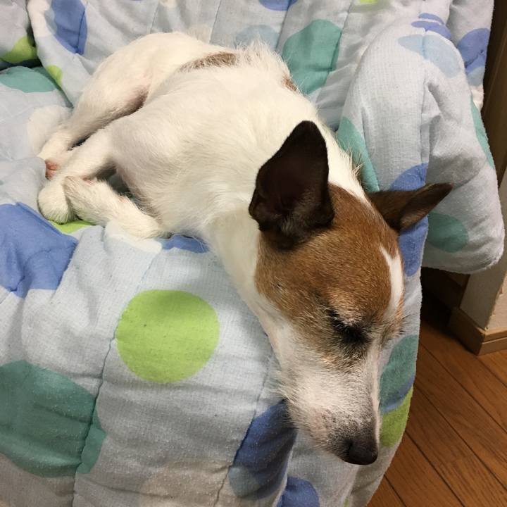 5fd846b0 9b54 429d 8176 a860a16f2cd9 1564702558353